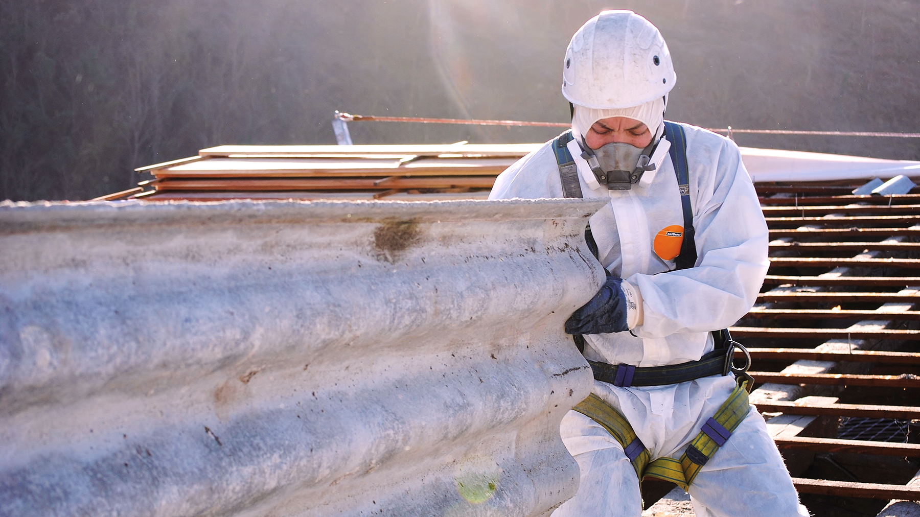 Asbestos