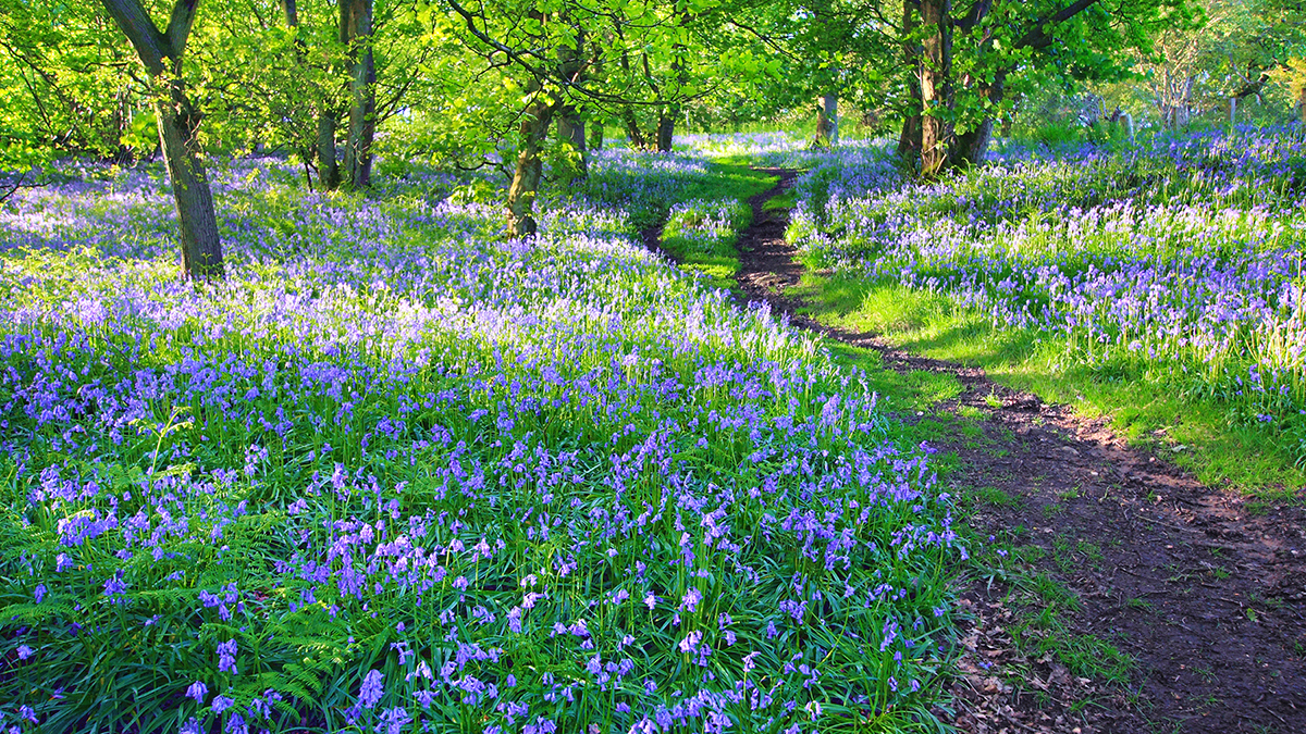 plans projects initiatives