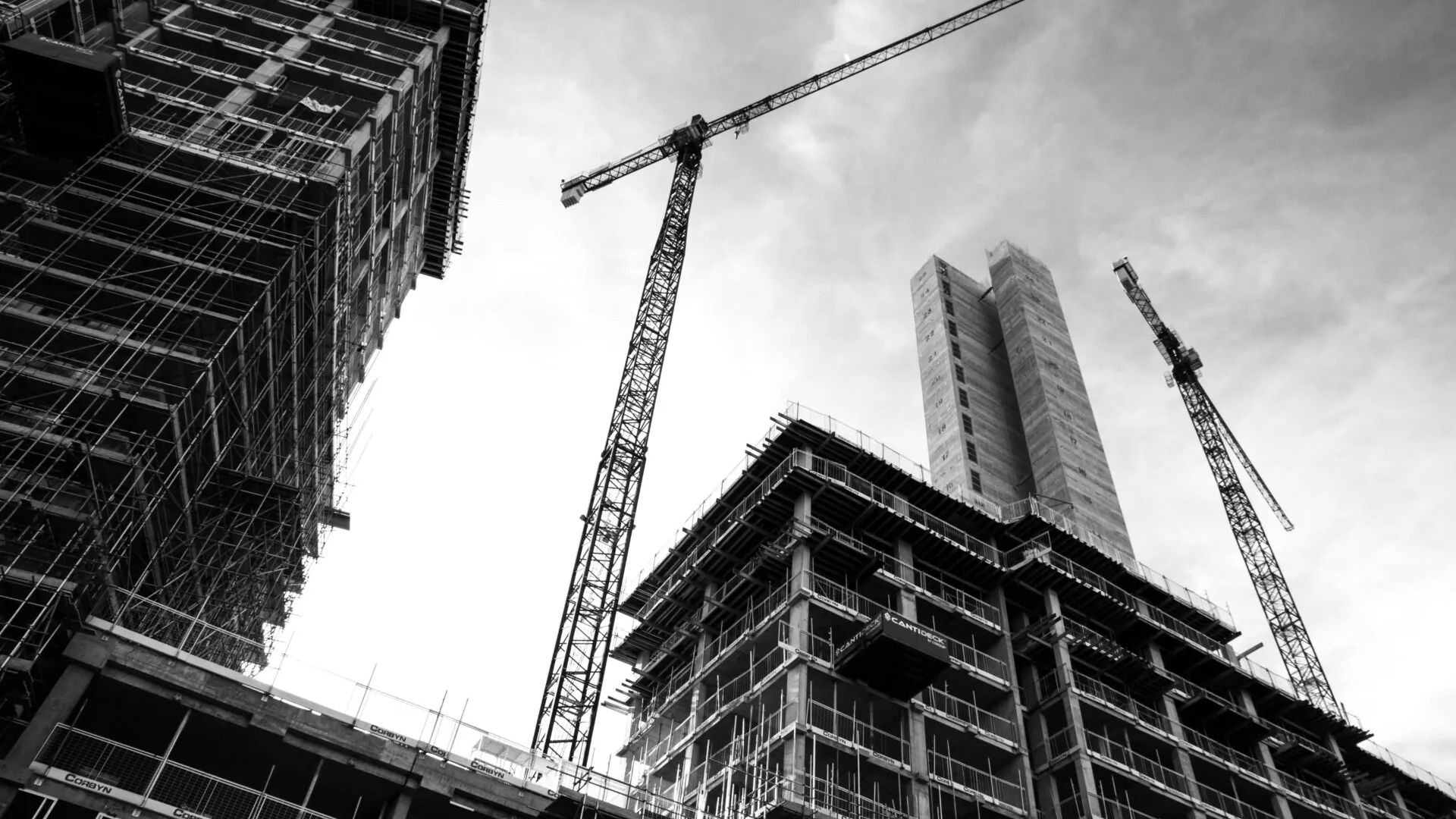 BSR remediation Credit: Ben Allan/Unsplash